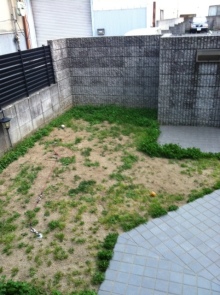 Before