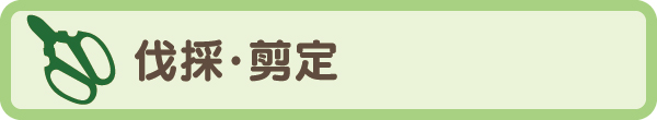 伐採・剪定 伐採・剪定